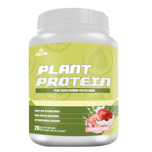 Plant Protein
